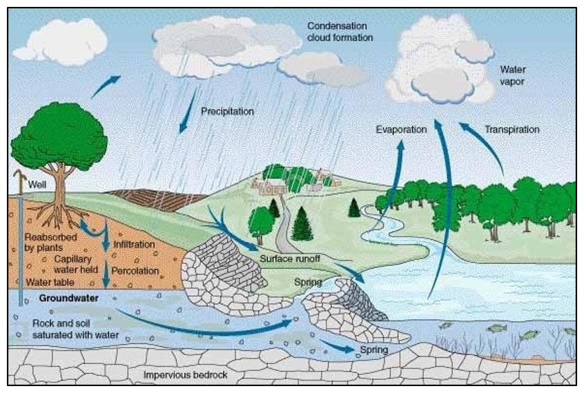 Contoh Siklus Hidrologi